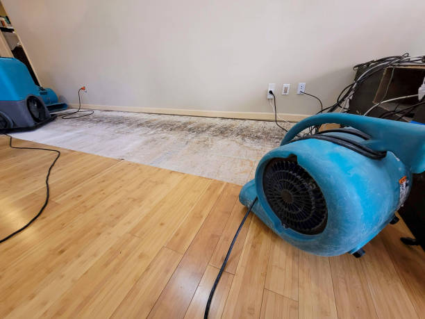 Professional Basement Flood Cleanup technician working in Nunnelly, TN